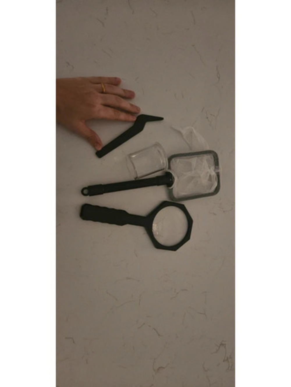 Kids Bug Catching Explorer Kit Magnifying Glass Net & Bug Viewer